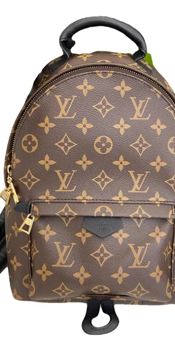 Louis Vuitton
Zaino Palm Springs